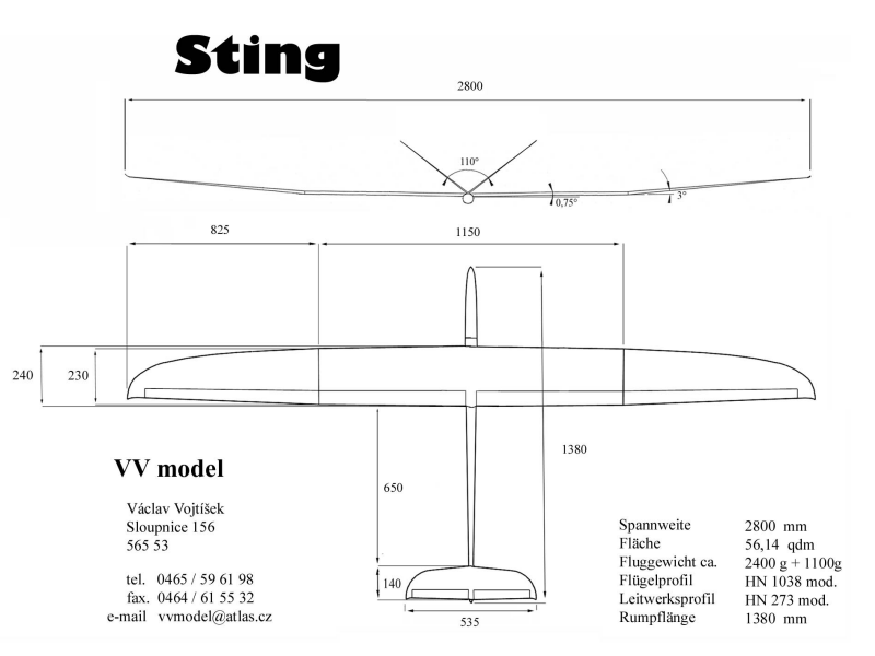 F3B Modell "Sting"